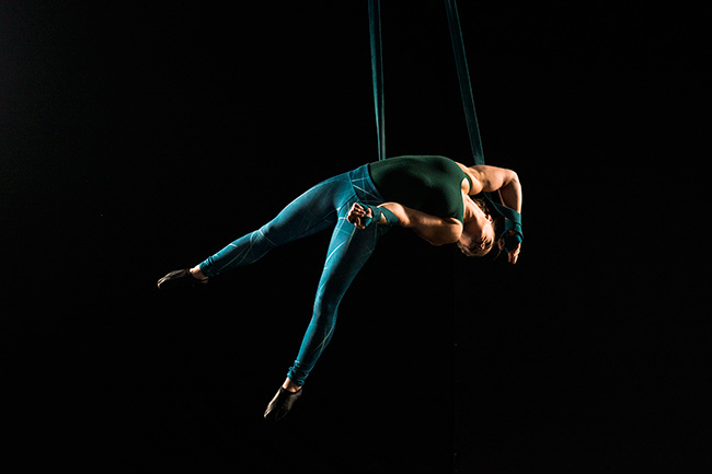 Photo of Acrobat