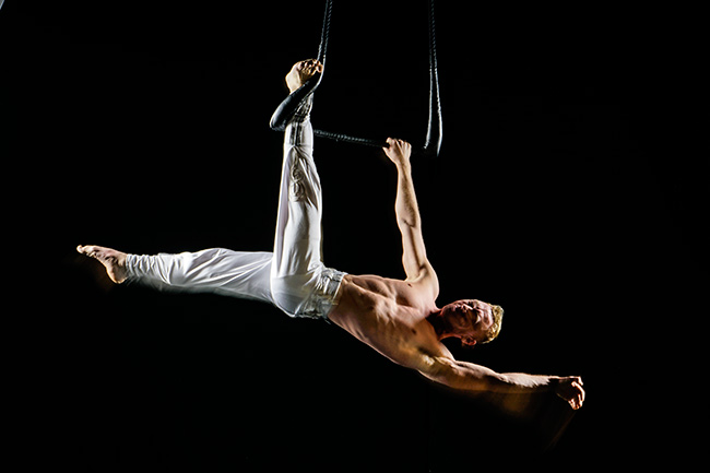 Photo of Acrobat