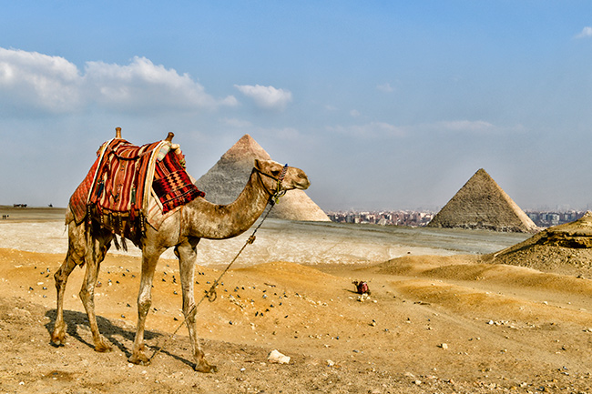 Photo of Egypt