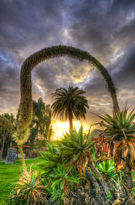 Photo of San Diego, California, USA