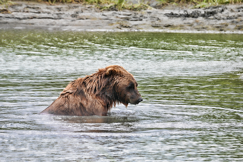 Best photo of Alaska