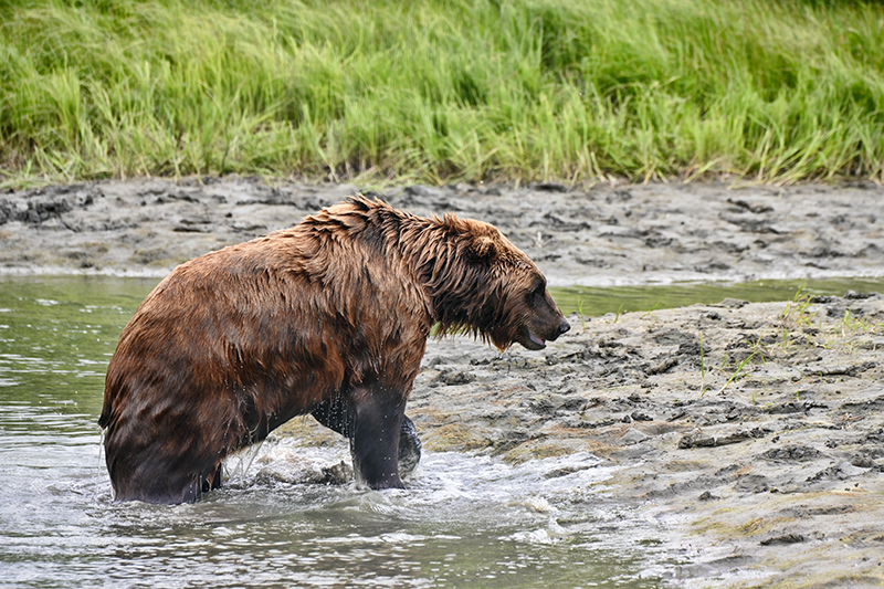 Best photo of Alaska