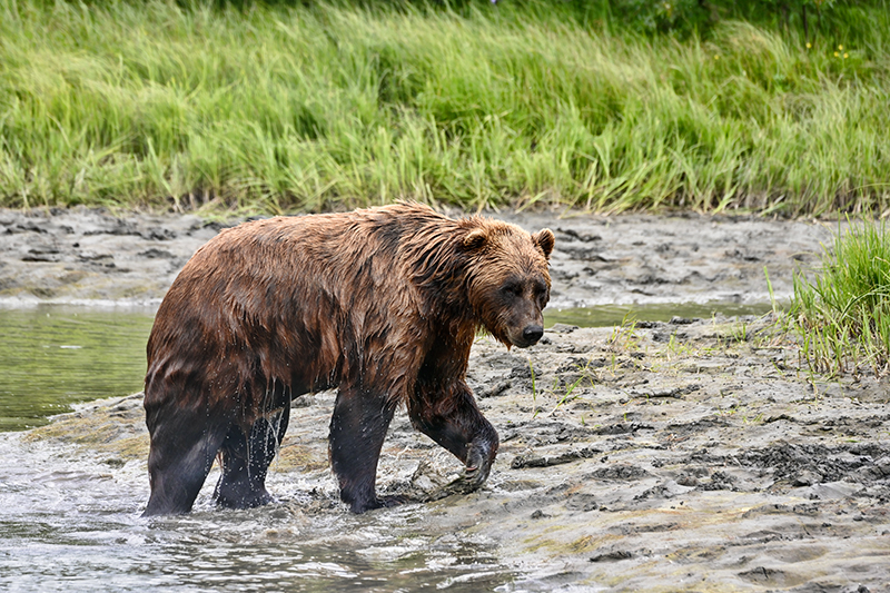 Best photo of Alaska