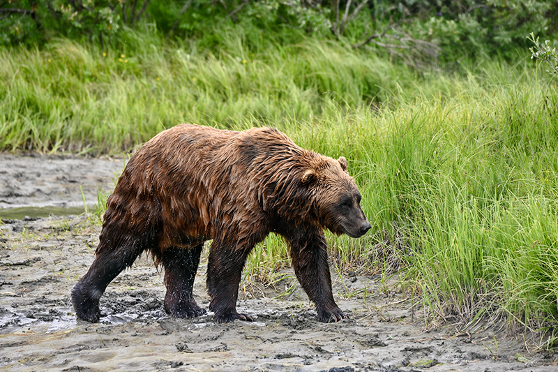 Best photo of Alaska