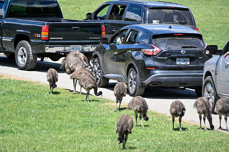 Best photo of wildlife