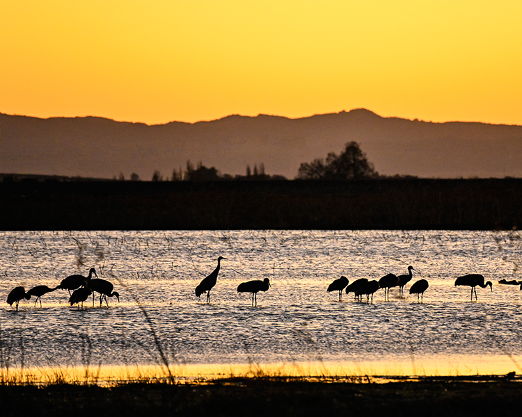 Best photo of North California