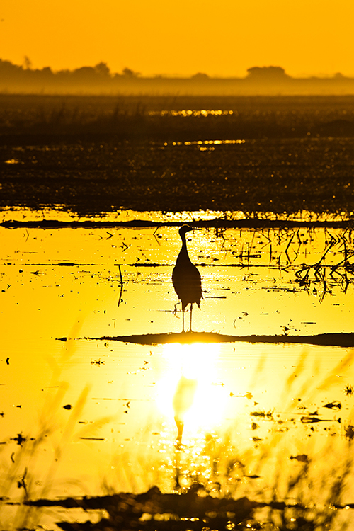 Best photo of North California