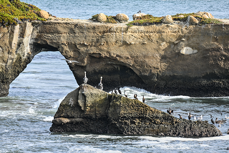 Best photo of North California