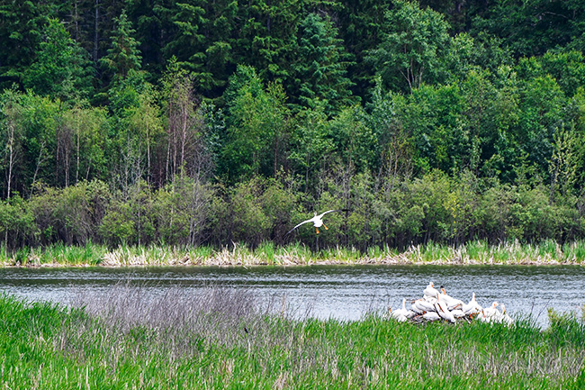 Photo of Canada