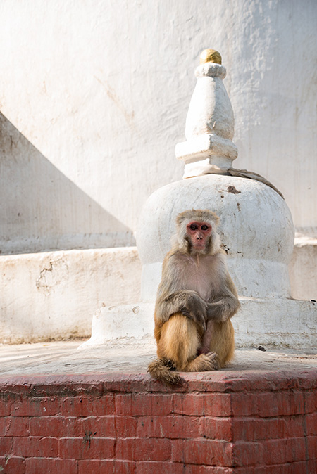 Nepal