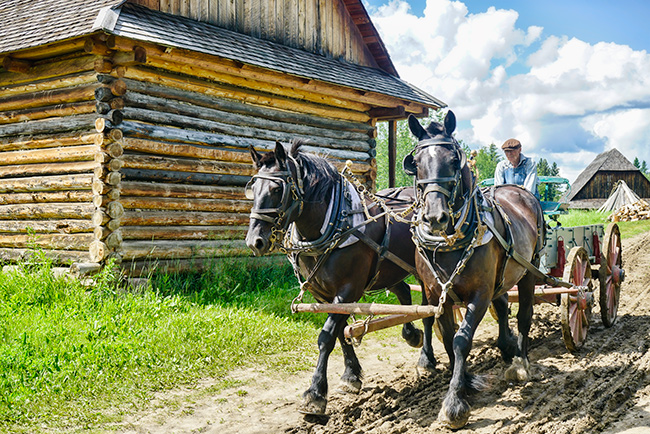 Photo of Canada