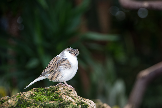 Vancouver, British Columbia, Canada