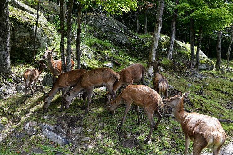 Photo of Ottawa, Ontario, Canada