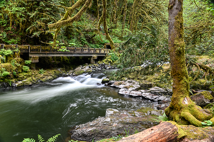 Best photo of Washington and Oregon