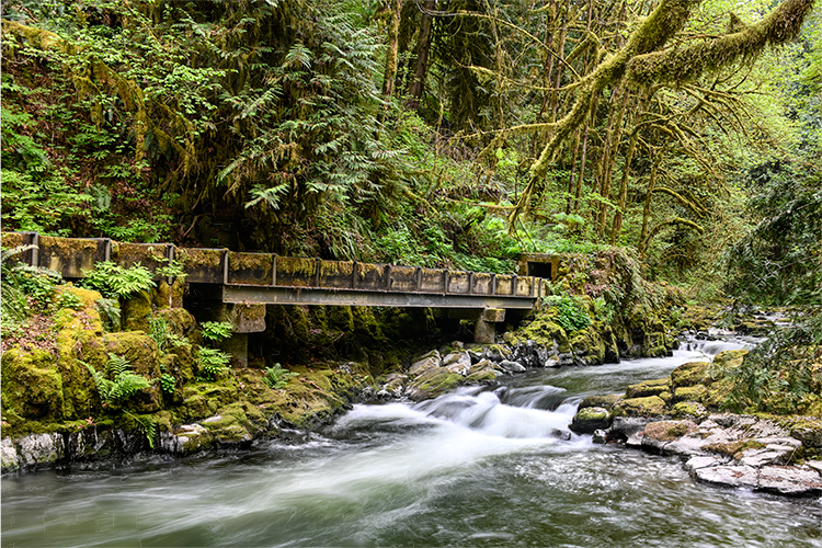 Best photo of Washington and Oregon