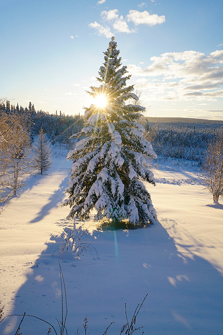 Fairbanks, Alaska