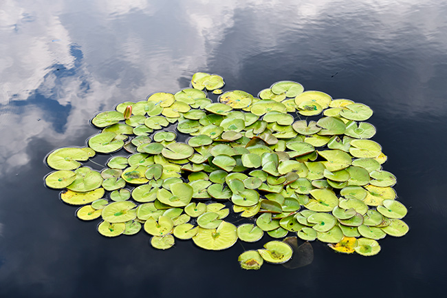 Photo of North Carolina and South Carolina