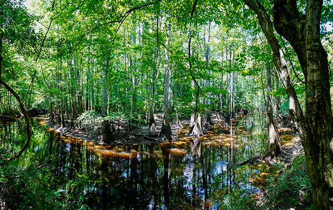 Photo of North Carolina and South Carolina