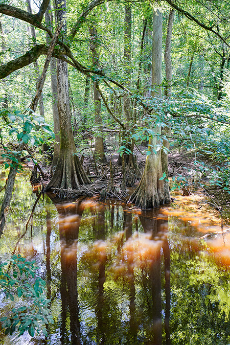 Photo of North Carolina and South Carolina