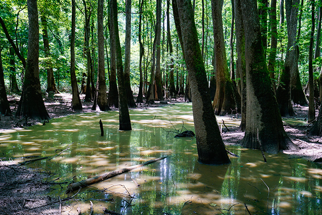 Photo of North Carolina and South Carolina