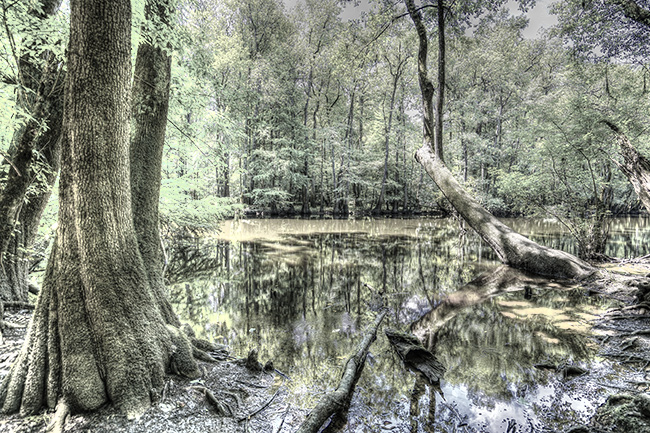 Photo of North Carolina and South Carolina