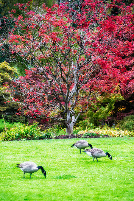 Vancouver, British Columbia, Canada