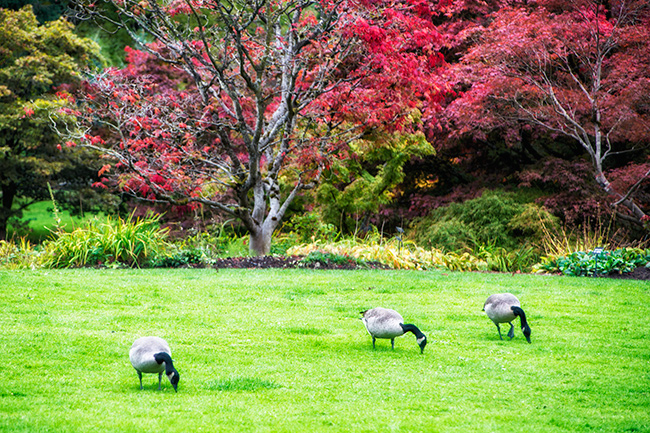 Vancouver, British Columbia, Canada