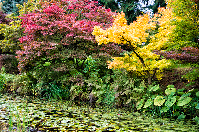 Vancouver, British Columbia, Canada