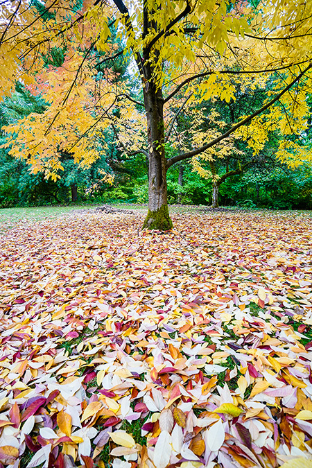 Vancouver, British Columbia, Canada