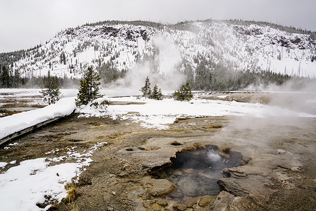 Photo of Jackson Hole, Grand Tetons, and Yellowstone